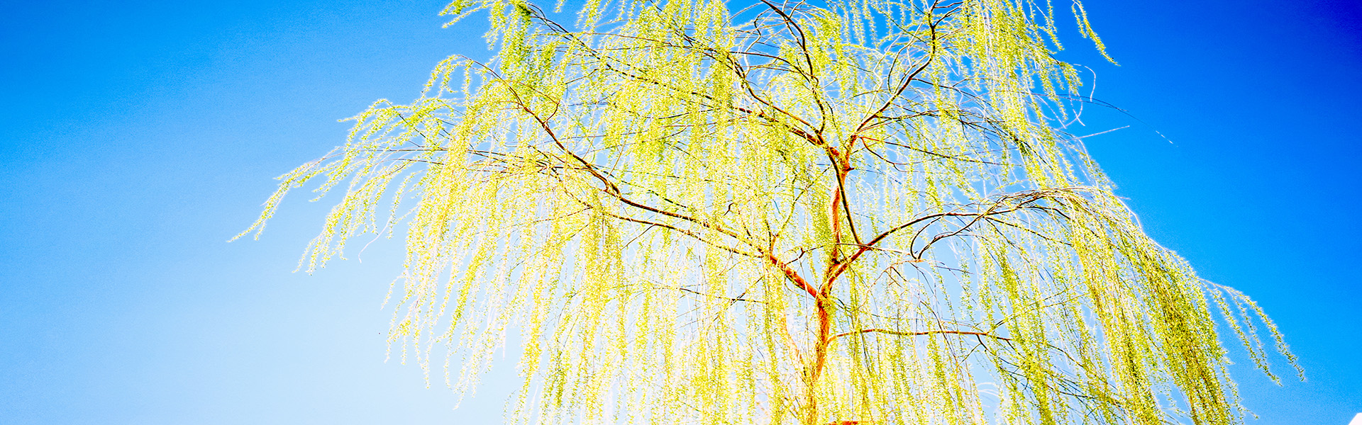 办理事项指南，让你办税更快，更准确