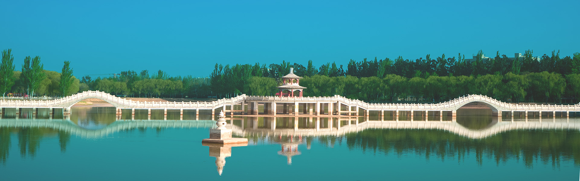 宁夏是枸杞之乡